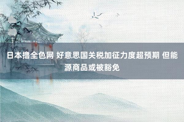 日本撸全色网 好意思国关税加征力度超预期 但能源商品或被豁免