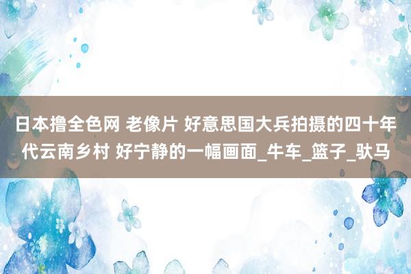 日本撸全色网 老像片 好意思国大兵拍摄的四十年代云南乡村 好宁静的一幅画面_牛车_篮子_驮马