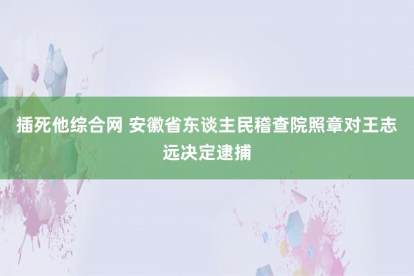 插死他综合网 安徽省东谈主民稽查院照章对王志远决定逮捕