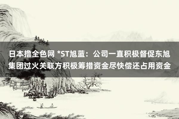 日本撸全色网 *ST旭蓝：公司一直积极督促东旭集团过火关联方积极筹措资金尽快偿还占用资金