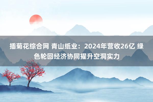 插菊花综合网 青山纸业：2024年营收26亿 绿色轮回经济协同擢升空洞实力
